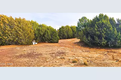 55 N Country Club Lane Drive, Concho, AZ 85924 - Photo 25