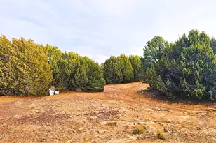 55 N Country Club Ln Dr, Concho, AZ 85924 - Photo 25