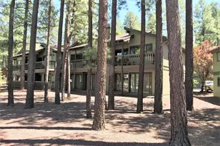 2820 Park Circle Circle Unit 33, Pinetop, AZ 85935 - Photo 3