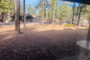 2820 Park Circle Circle Unit 33, Pinetop, AZ 85935 - Photo 21