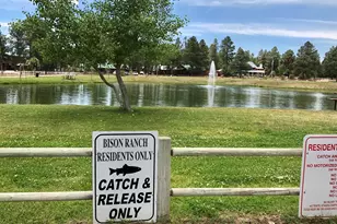 2677 Palomino Trail, Overgaard, AZ 85933 - Photo 43