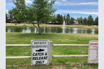 2677 Palomino Trail, Overgaard, AZ 85933 - Photo 45