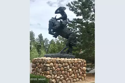 2677 Palomino Trail, Overgaard, AZ 85933 - Photo 51