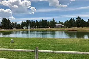 2677 Palomino Trail, Overgaard, AZ 85933 - Photo 45