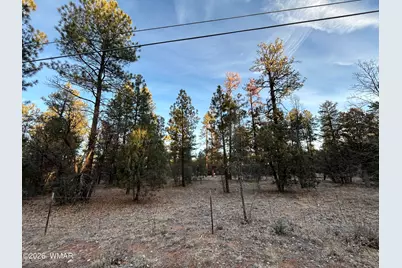 Tbd- R Hilltop, Lakeside, AZ 85929 - Photo 3