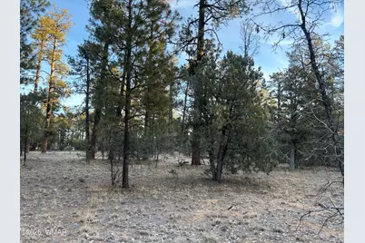 Tbd- R Hilltop, Lakeside, AZ 85929 - Photo 1
