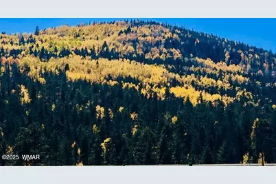 1061 Hillside Drive, Show Low, AZ 85901 - Photo 9