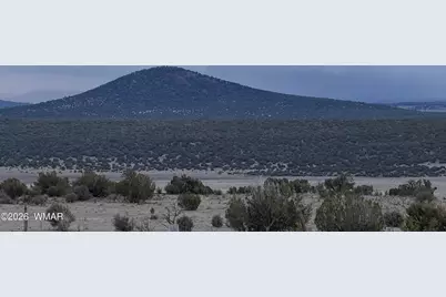 9959 Pioneer Trail, Show Low, AZ 85902 - Photo 39