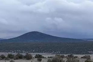 9959 Pioneer Trail, Show Low, AZ 85902 - Photo 39