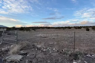 9959 Pioneer Trail, Show Low, AZ 85902 - Photo 43