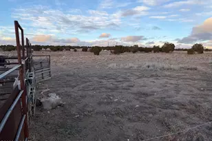 9959 Pioneer Trail, Show Low, AZ 85902 - Photo 45