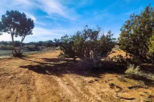 4726 Hay Hollow Rd, Snowflake, AZ 85937 - Photo 1