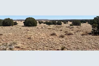 Lot 140 5525, Concho, AZ 85924 - Photo 5