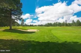 400 N Madron Ln, Show Low, AZ 85901 - Photo 47