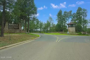 400 N Madron Ln, Show Low, AZ 85901 - Photo 49