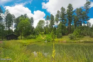 400 N Madron Ln, Show Low, AZ 85901 - Photo 49