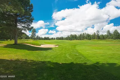 400 N Madron Lane, Show Low, AZ 85901 - Photo 53