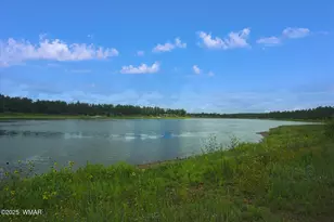 400 N Madron Ln, Show Low, AZ 85901 - Photo 53