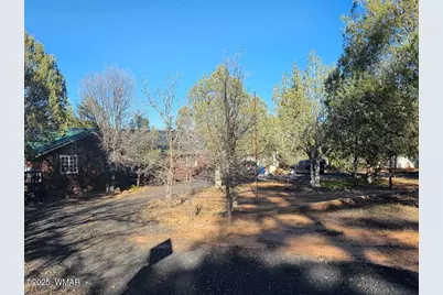 6690 Circle C Lane, Show Low, AZ 85901 - Photo 3