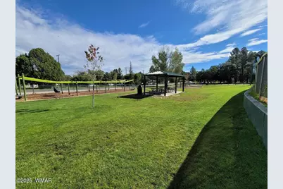 6690 Circle C Lane, Show Low, AZ 85901 - Photo 33