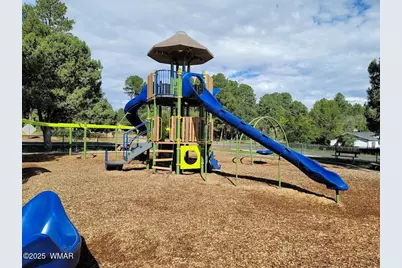 6690 Circle C Lane, Show Low, AZ 85901 - Photo 31