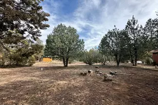 2927 Wildcat Trail, Overgaard, AZ 85933 - Photo 5