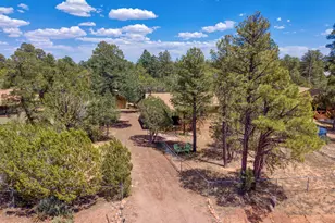 2927 Wildcat Trail, Overgaard, AZ 85933 - Photo 5