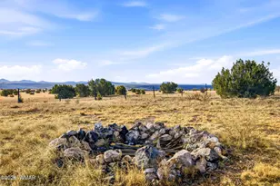 Tbd Grant Rd, Show Low, AZ 85901 - Photo 35