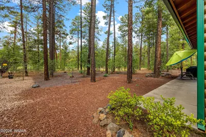 2978 Timberline Road, Pinetop, AZ 85935 - Photo 29