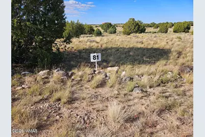 Tbd Acr 8620, Concho, AZ 85924 - Photo 1