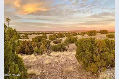 Tbd Co Rd N6659 36.25 Acres, Saint Johns, AZ 85936 - Photo 11