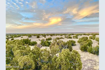 Tbd Co Rd N6659 36.25 Acres, Saint Johns, AZ 85936 - Photo 7