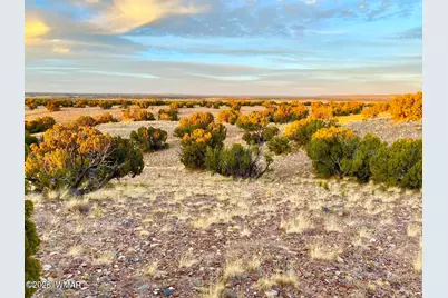 Tbd Co Rd N6659 36.25 Acres, Saint Johns, AZ 85936 - Photo 21