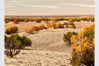 Tbd Co Rd N6659 36.25 Acres, Saint Johns, AZ 85936 - Photo 17