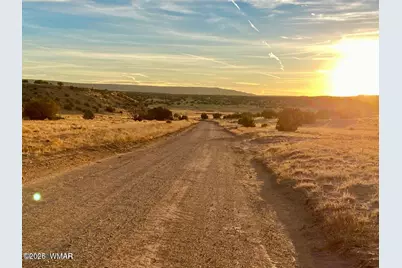 Tbd Co Rd N6659 36.25 Acres, Saint Johns, AZ 85936 - Photo 3