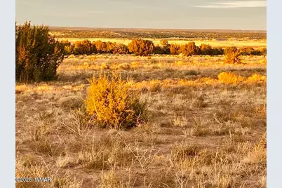 Tbd Co Rd N6659 36.25 Acres, Saint Johns, AZ 85936 - Photo 23