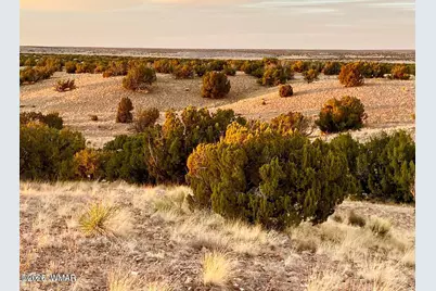 Tbd Co Rd N6659 36.25 Acres, Saint Johns, AZ 85936 - Photo 13