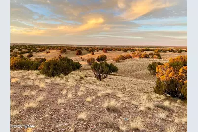 Tbd Co Rd N6659 36.25 Acres, Saint Johns, AZ 85936 - Photo 19