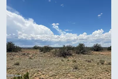 595 Lot Graham Road, Heber, AZ 85928 - Photo 21