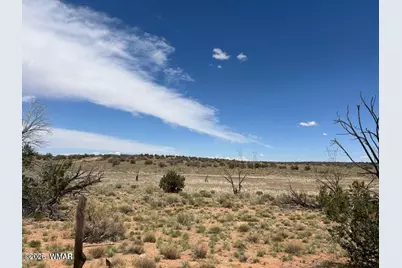 595 Lot Graham Road, Heber, AZ 85928 - Photo 9