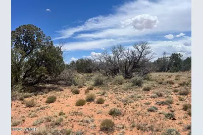 595 Lot Graham Road, Heber, AZ 85928 - Photo 11