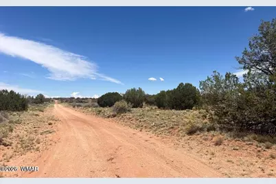 595 Lot Graham Road, Heber, AZ 85928 - Photo 15