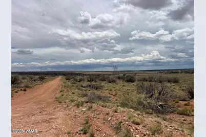 595 Lot Graham Road, Heber, AZ 85928 - Photo 19