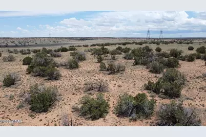 595 Lot Graham Road, Heber, AZ 85928 - Photo 3