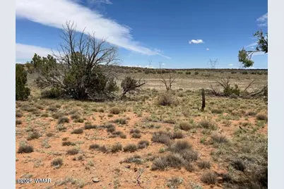 595 Lot Graham Road, Heber, AZ 85928 - Photo 7