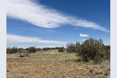 595 Lot Graham Road, Heber, AZ 85928 - Photo 13