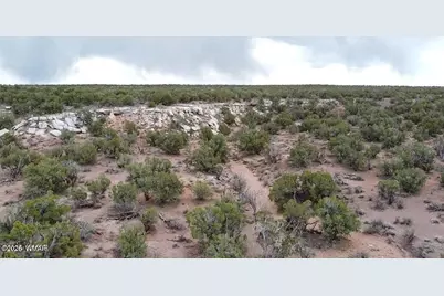 9133 Ridge View Lane, Snowflake, AZ 85937 - Photo 5