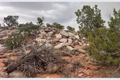 9133 Ridge View Lane, Snowflake, AZ 85937 - Photo 1