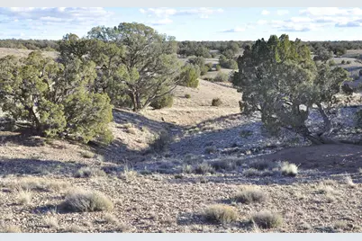 691 Cr 5270, Concho, AZ 85924 - Photo 3