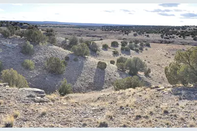 691 Cr 5270, Concho, AZ 85924 - Photo 13